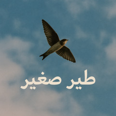 A Little Bird - طير صغير