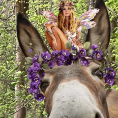 A Midsummer Night's Dream (edit)