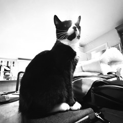 Gez Gold Open Mic - Solo Set