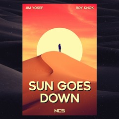 Sun Goes Down