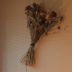 DNT WANT ANYONE BUT YOU