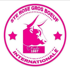 Ste-Rose Gros Boeuf Int Lakay se Lakay 2024