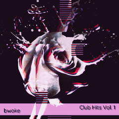 Club Hits Vol.1