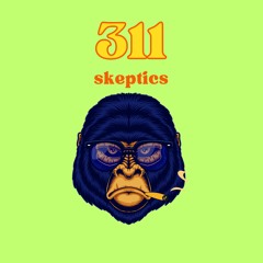 311 Skeptics