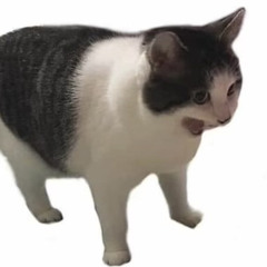 Raw Mix Recording From Waverly. No BS