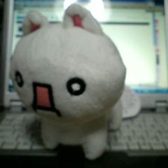 clips @antifreeze @10x19v