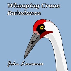 Whooping Crane Raindance