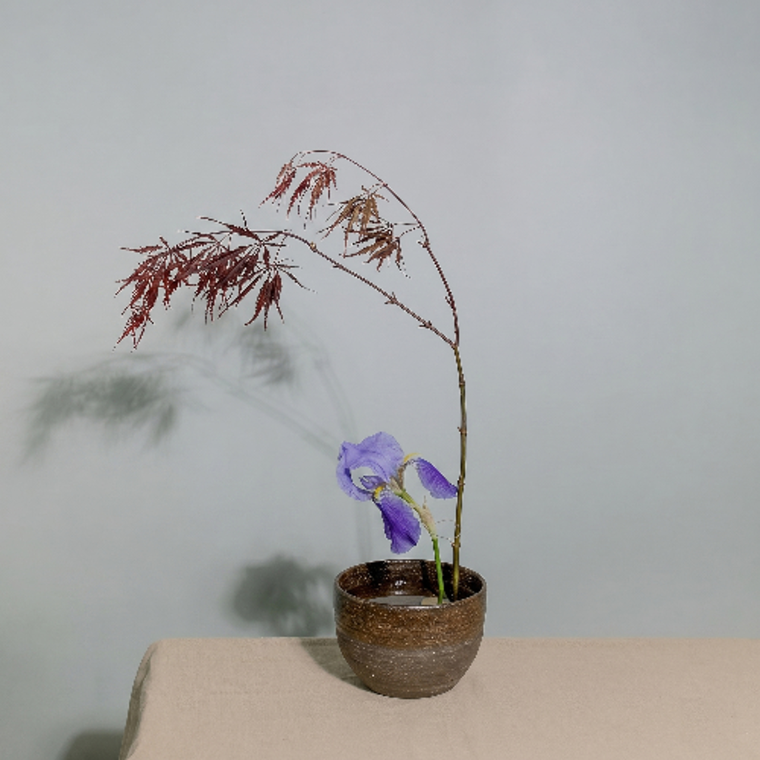 Instructions for a Lonely Flower by Lori Yamamoto episode artwork