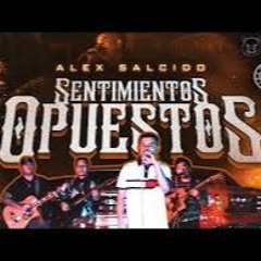 Sentimientos Opuestos - Alex Salcido