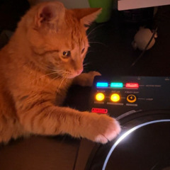 wesley had a groove on july 19th