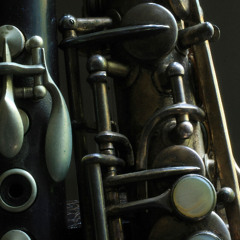 Saint Thomas reveries