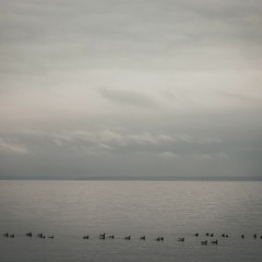 hardrock - horizon