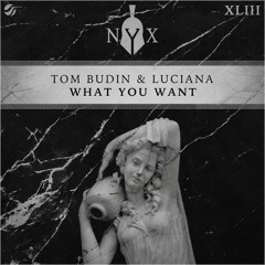 Tom Budin & Luciana - What You Want