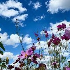 You Do Something To Me