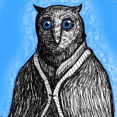 owl in the woods