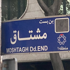 دیوانه شو | شهرام ناظری