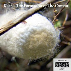 Kach - The Formation Of The Cocoon (Original Mix) [Released 2013] [UA006]