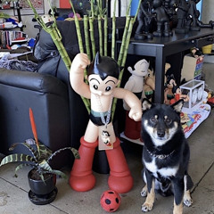 (@itslepu) rollercoaster! (ft perry maysun) [prod. kyle mc laughlin & haze]