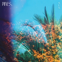 Chasing Fireflies
