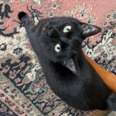 Tell Me Twice w/ SMLX (candle & jannah)