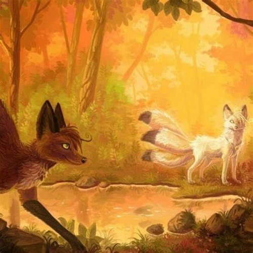 Marble Fox