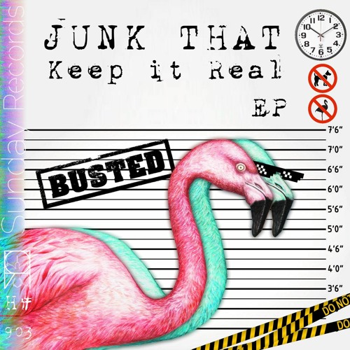 Junk That - Take Me