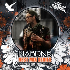 NAB DNB Nest Mix Series [Ampathy] - Vol 13
