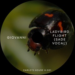 Giovanni - ladybird flight (Sade Vocal) (CSH-H001)