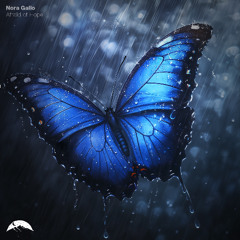 Nora Gallo - Afraid of Hope