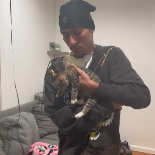 (whotfis2k) not ok [p. srrw]