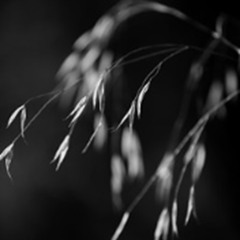 DANCING WITH THE UNKNOWN PT 2