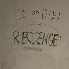 REVENGE RMX