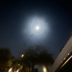 untiljapan - light ice (japan only)