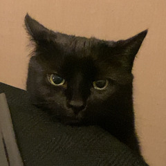 VONRANZ - LAB (KIBO SPECIAL) *check desc*