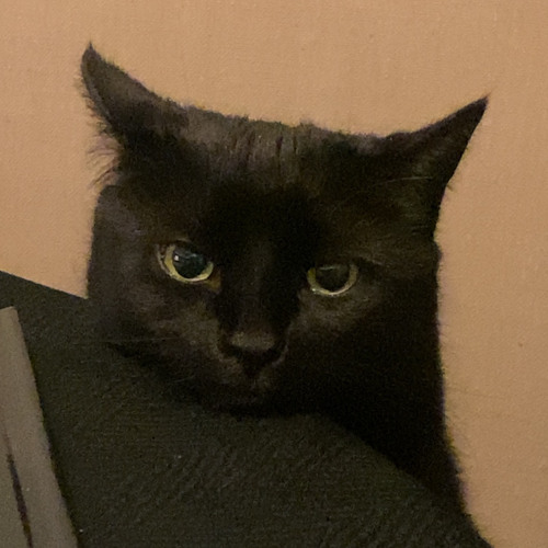 VONRANZ - LAB (KIBO SPECIAL) *check desc*