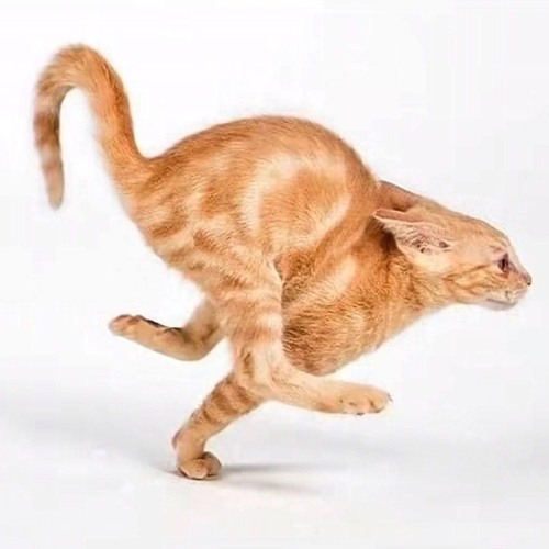 Планка - Я взлетаю в слепую FLG