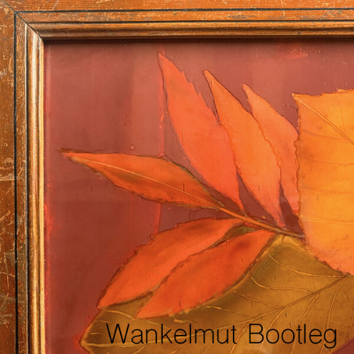 Zimmer90 & Balu Brigada - Learn To Let You Go (Wankelmut Bootleg)