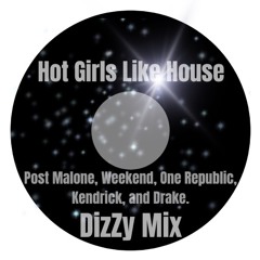Hot Girls Like House Mix (DizZ)