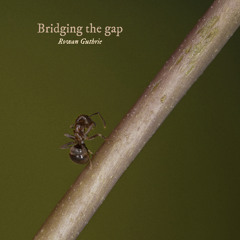 Bridging the gap