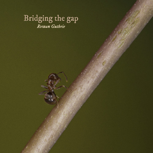 Bridging the gap