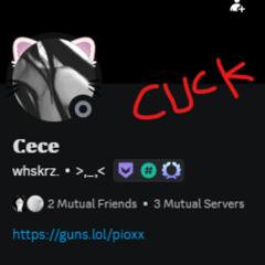 UR BITCH GETTING BACKSHOTS NIGGA