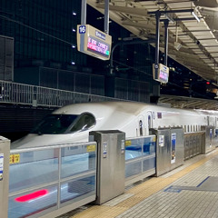Tokyo Station (Shinkansen Platform)