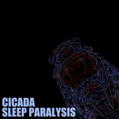 Tomoyoshi - Cicada / Sleep Paralysis (Forthcoming on Bandcamp 02/10/2020)
