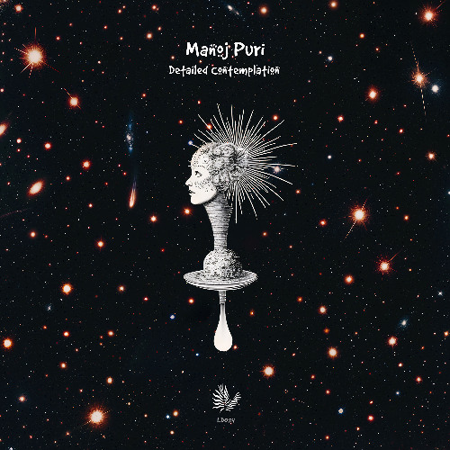 Manoj Puri - Metaphysic the Shipibo Fractal