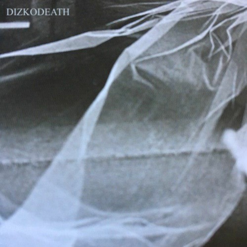 03 Dizkodeath - Destroy