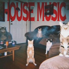 1h de house c lukinhas