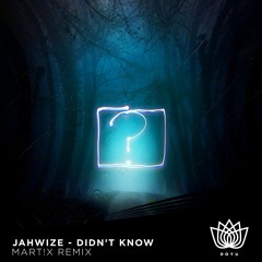 Jahwize - Didn't Know (Mart!x Remix)