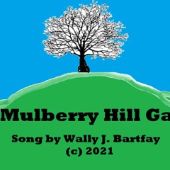 Mulberry Hill Gal