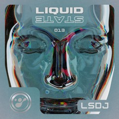 Liquid State Vol. 13 // LSDJ
