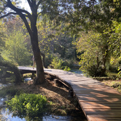 Nur ein Beweis🪷 feat. henry prod. yungnis